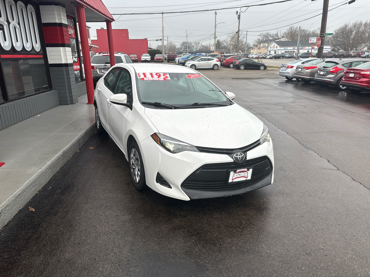 Toyota Corolla XLE CVT (Natl) 2019