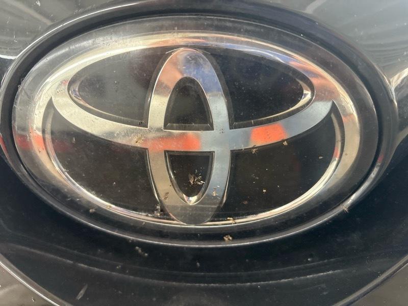 Toyota C-HR XLE FWD (Natl) 2018