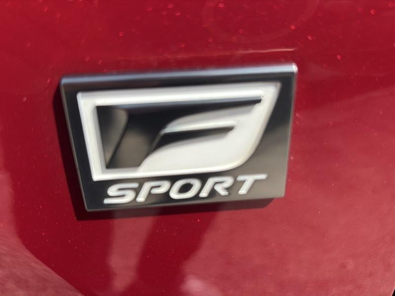 Lexus NX NX 300 FWD 2019