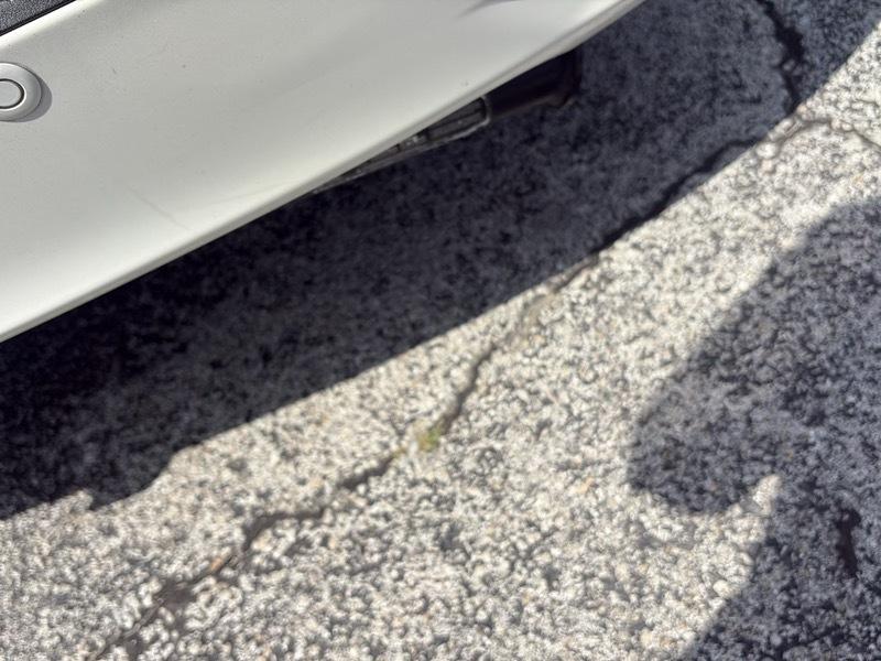 Honda Odyssey Elite Auto 2018