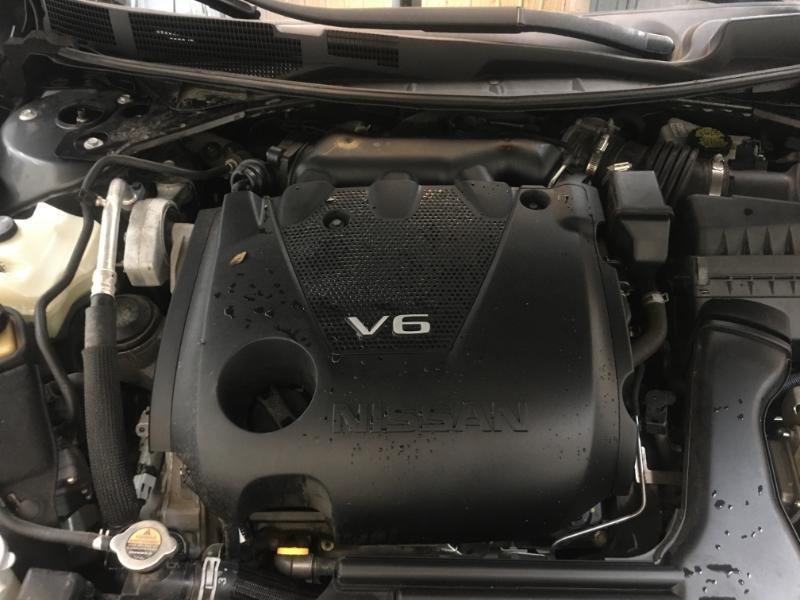 Nissan Maxima  2019