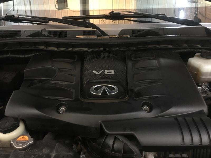 Infiniti QX80  2019