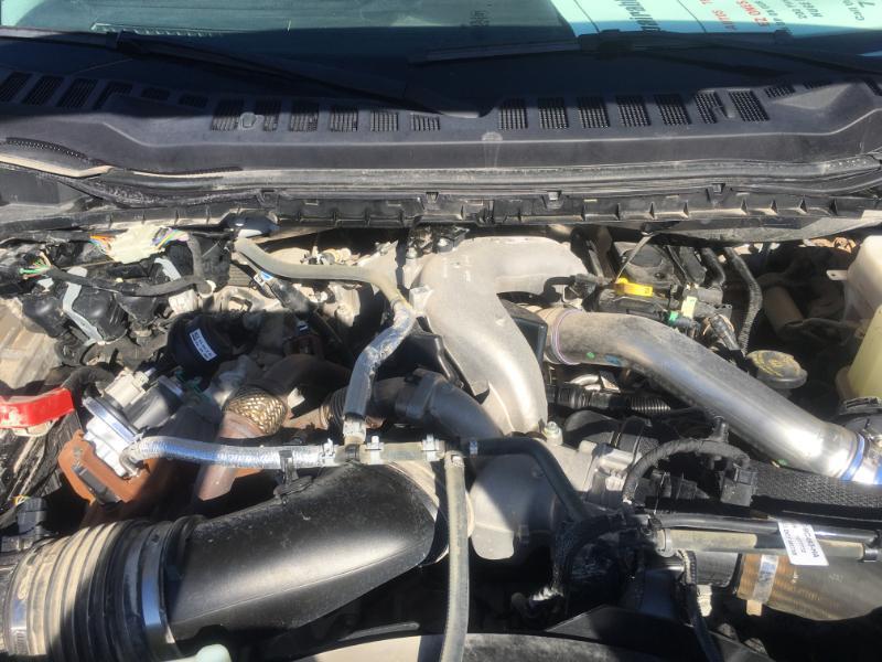 Ford F-350 SD  2024