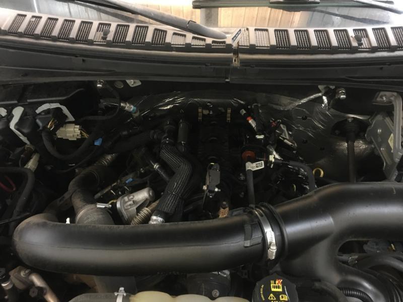 Ford Expedition  2022