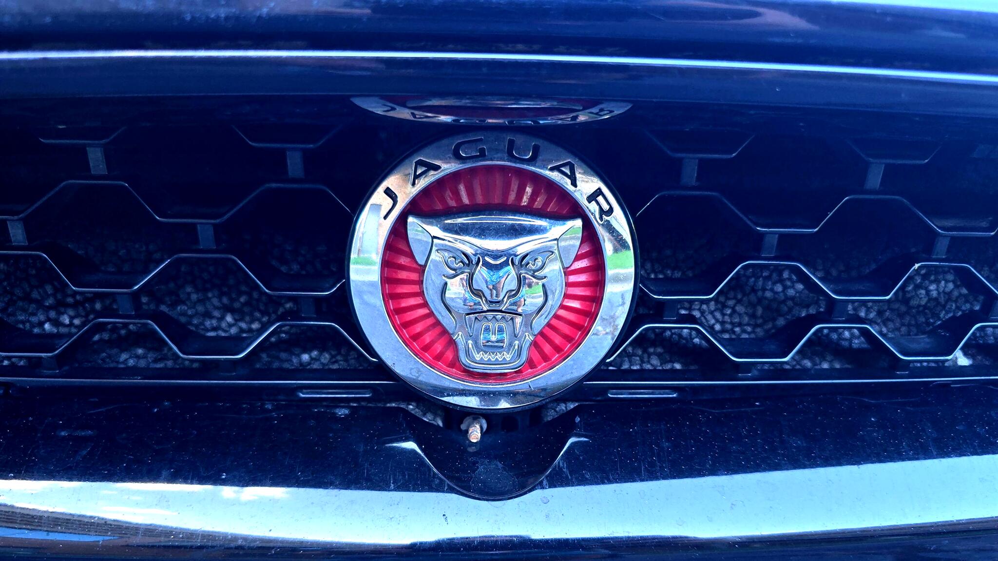 2016 Jaguar F-TYPE R photo 37
