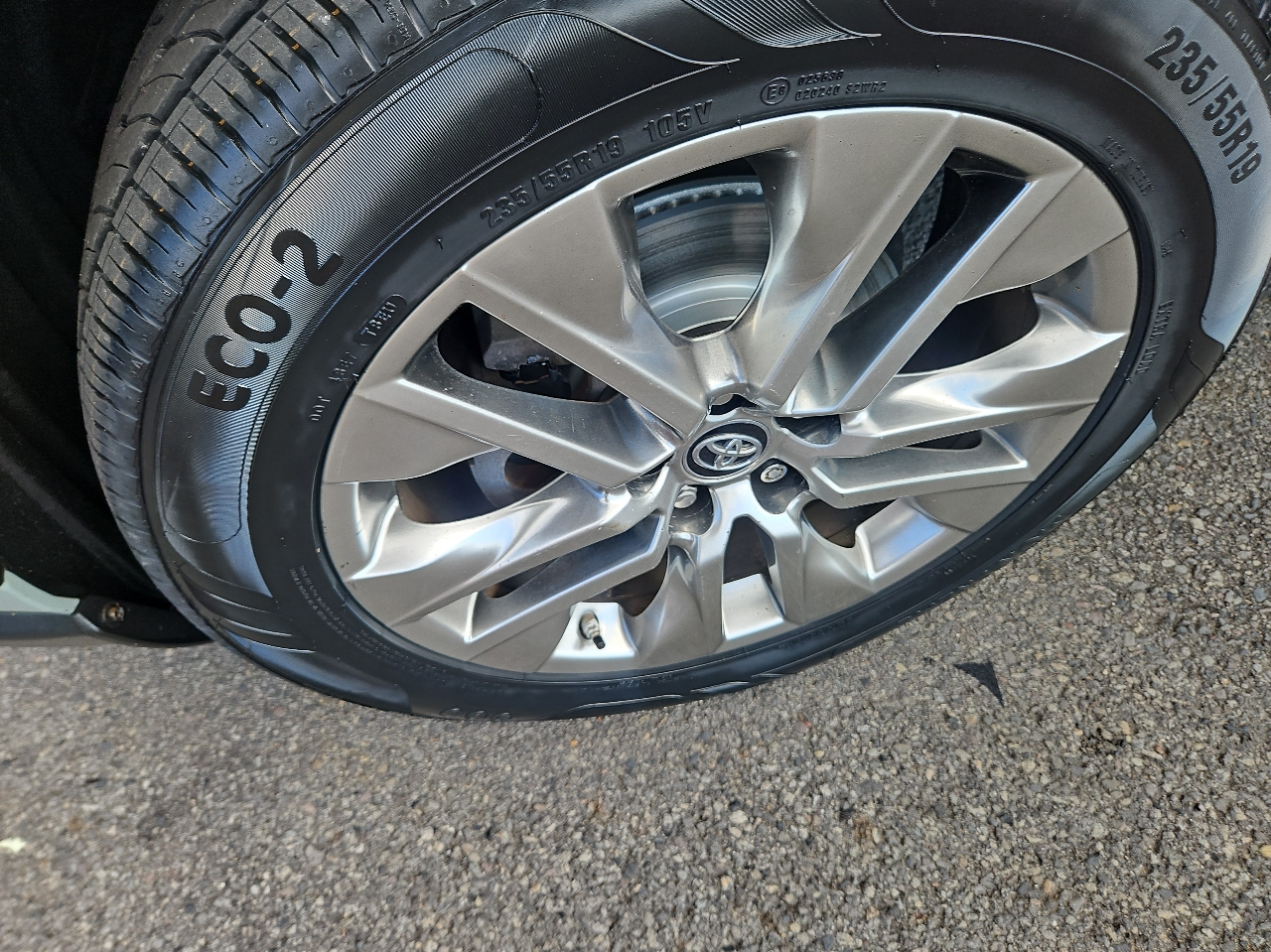 Toyota RAV4 XLE Premium AWD (Natl) 2019 Toyota RAV4 XLE Premium AWD (Natl) 2019