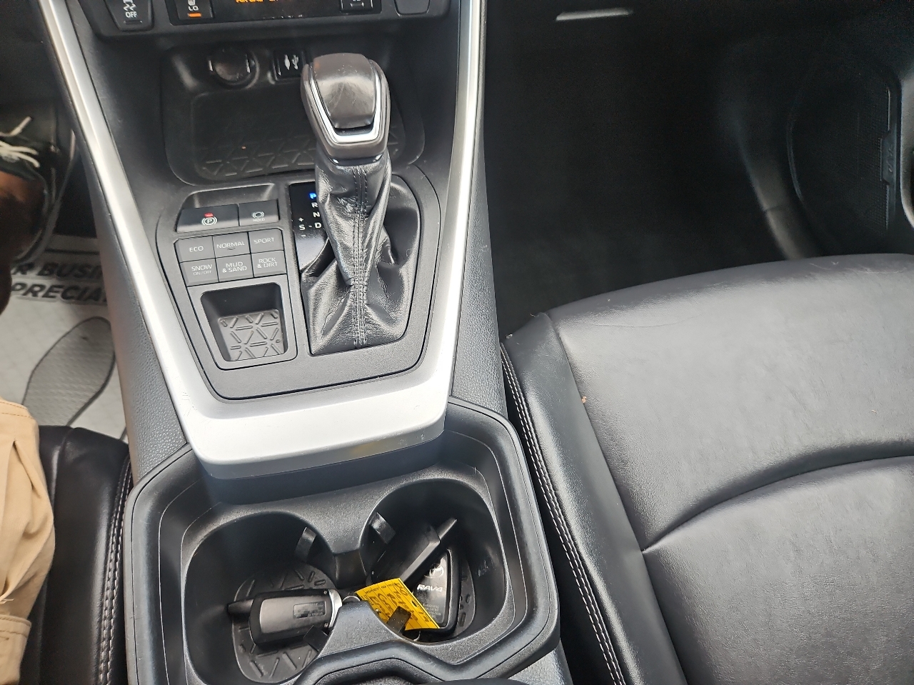 Toyota RAV4 XLE Premium AWD (Natl) 2019 Toyota RAV4 XLE Premium AWD (Natl) 2019