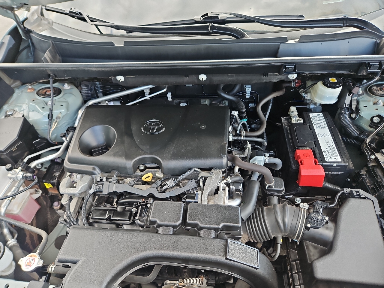 Toyota RAV4 XLE Premium AWD (Natl) 2019 Toyota RAV4 XLE Premium AWD (Natl) 2019