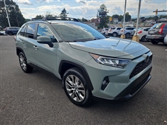 2019 Toyota RAV4  2019 Toyota RAV4