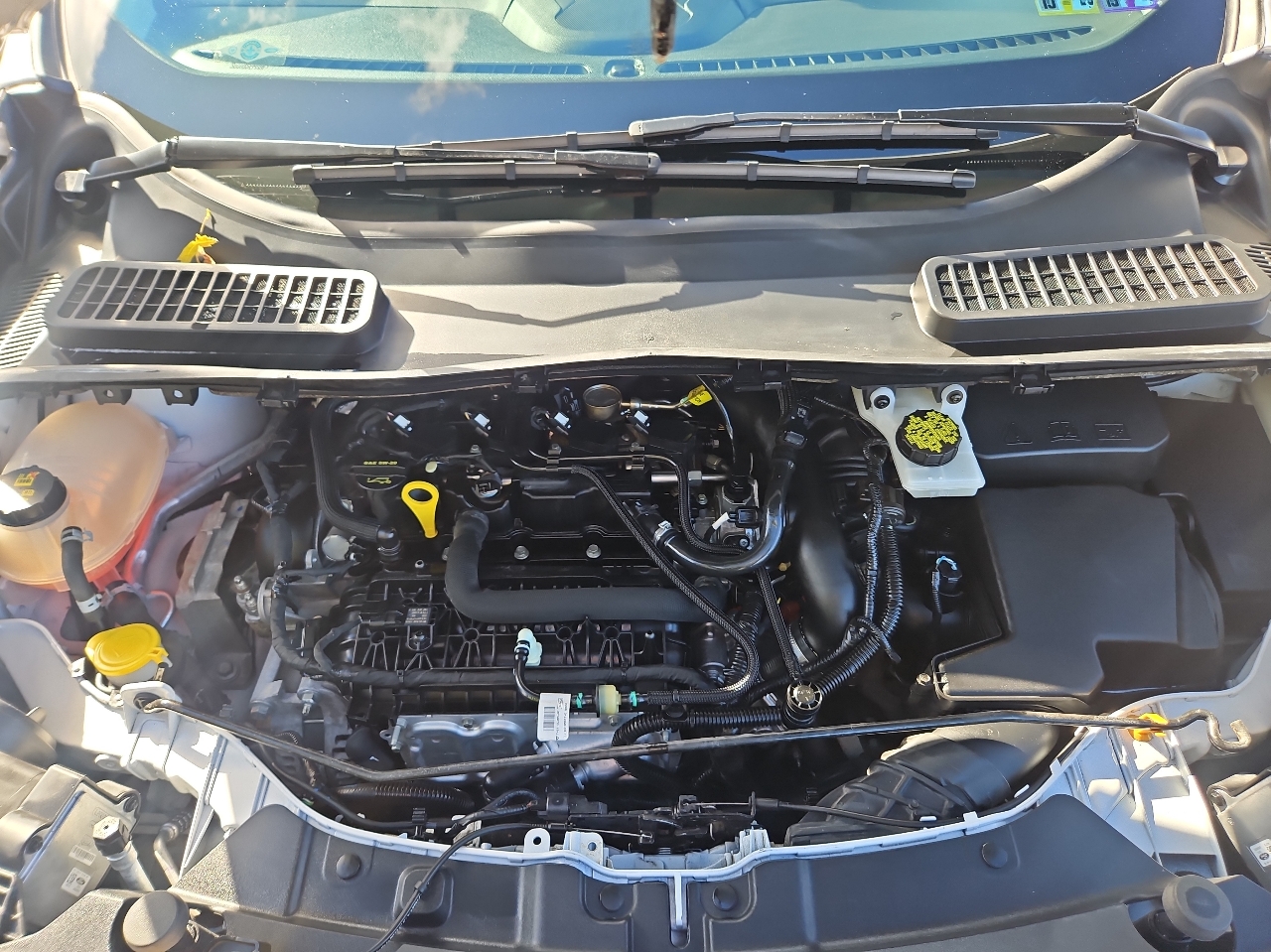 Ford Escape SEL 4WD 2019 Ford Escape SEL 4WD 2019