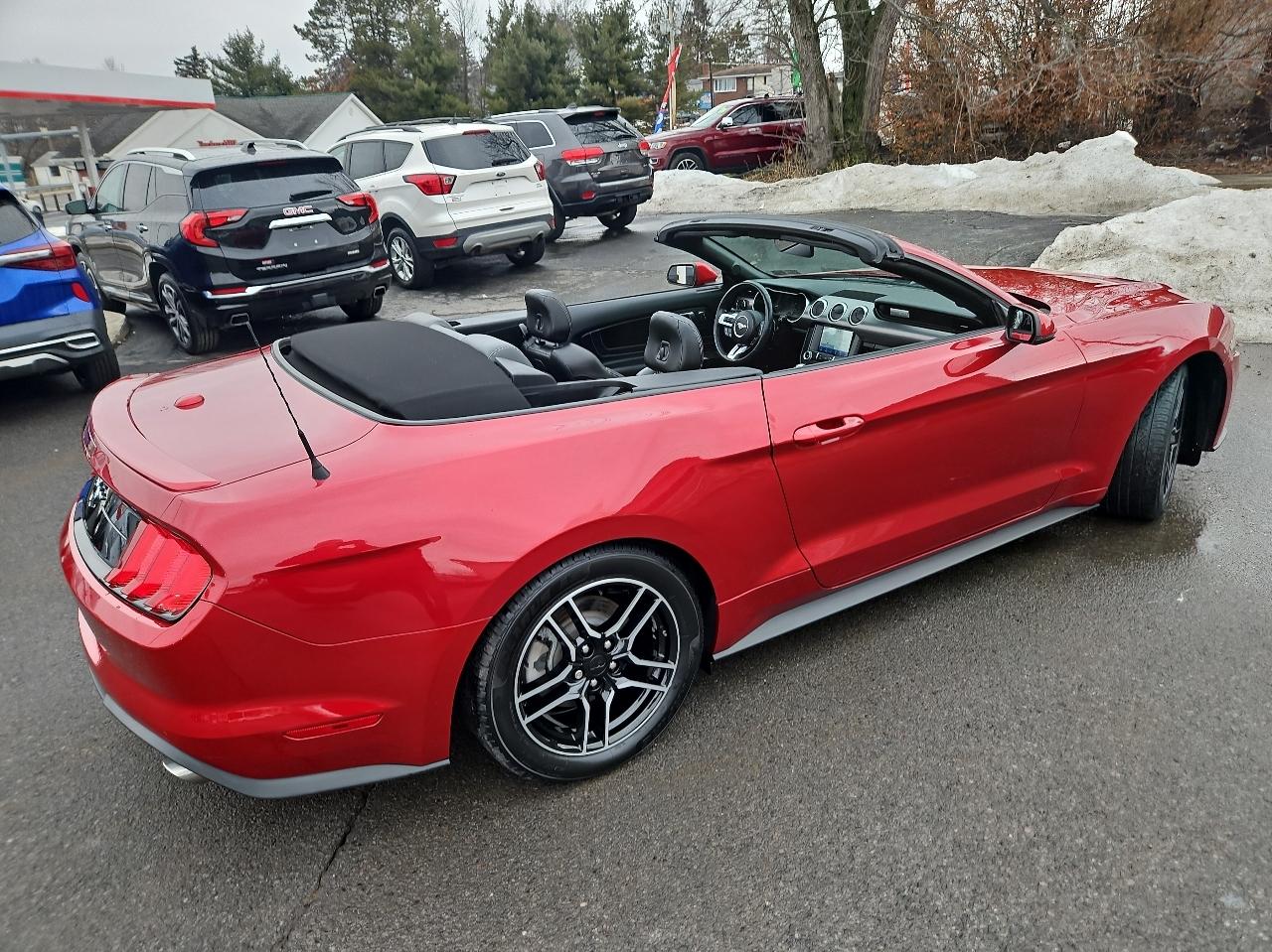 Ford Mustang EcoBoost Convertible 2021