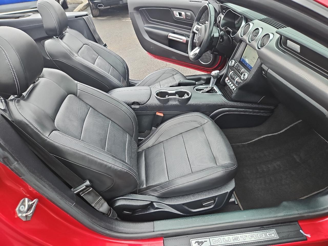 Ford Mustang EcoBoost Convertible 2021