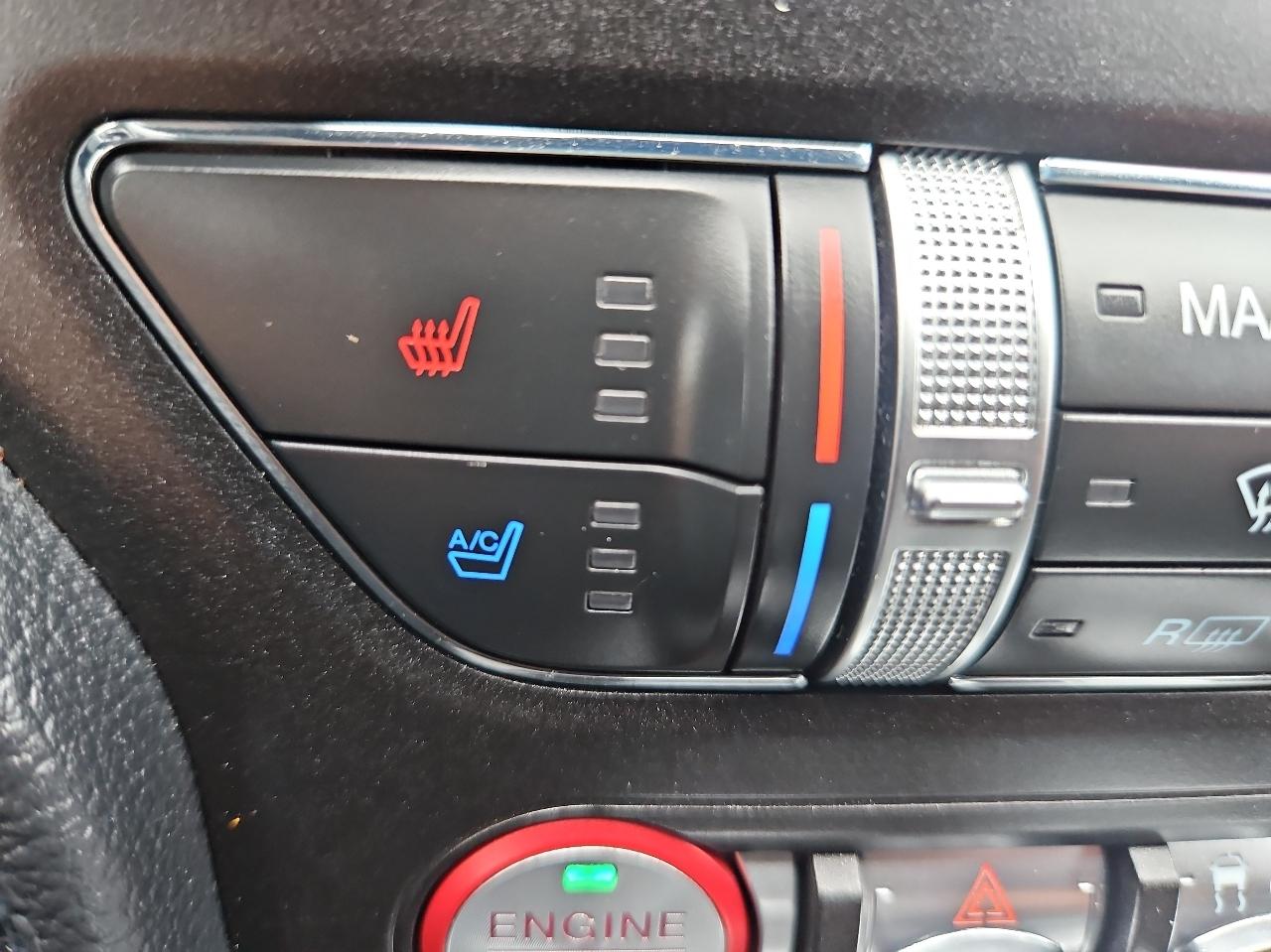 Ford Mustang EcoBoost Convertible 2021