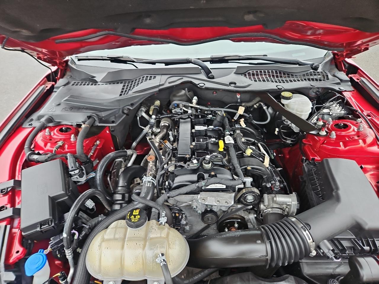 Ford Mustang EcoBoost Convertible 2021