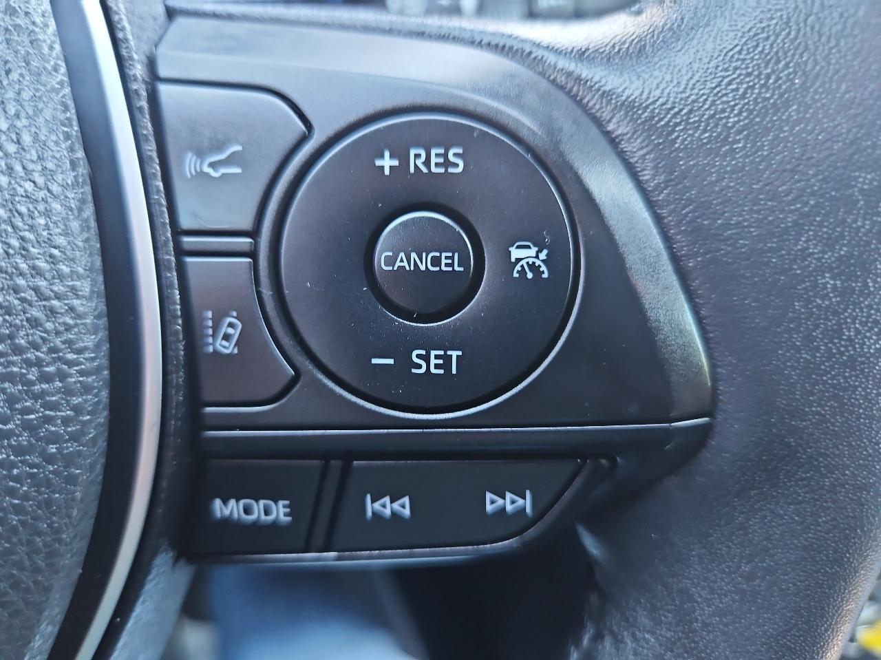 Toyota RAV4 Hybrid XSE AWD (Natl) 2022