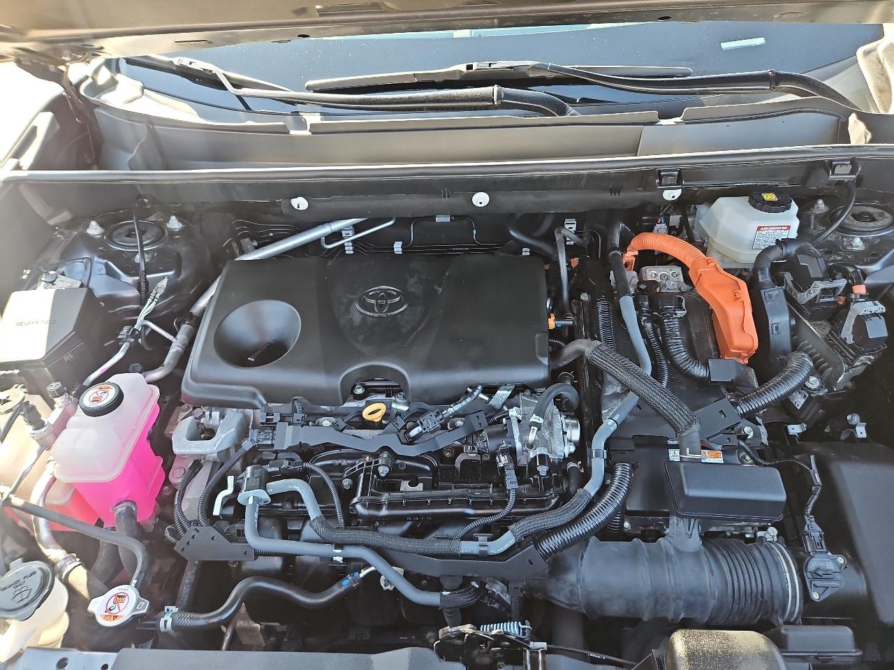 Toyota RAV4 Hybrid XSE AWD (Natl) 2022