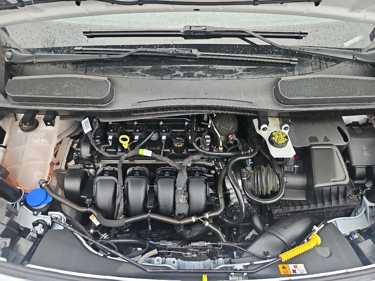 Ford Transit Connect Van XL LWB w/Rear Symmetrical Doors 2020