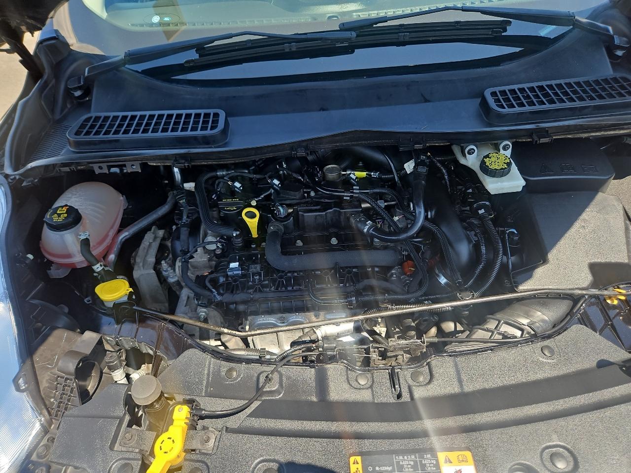 Ford Escape SE 4WD 2019