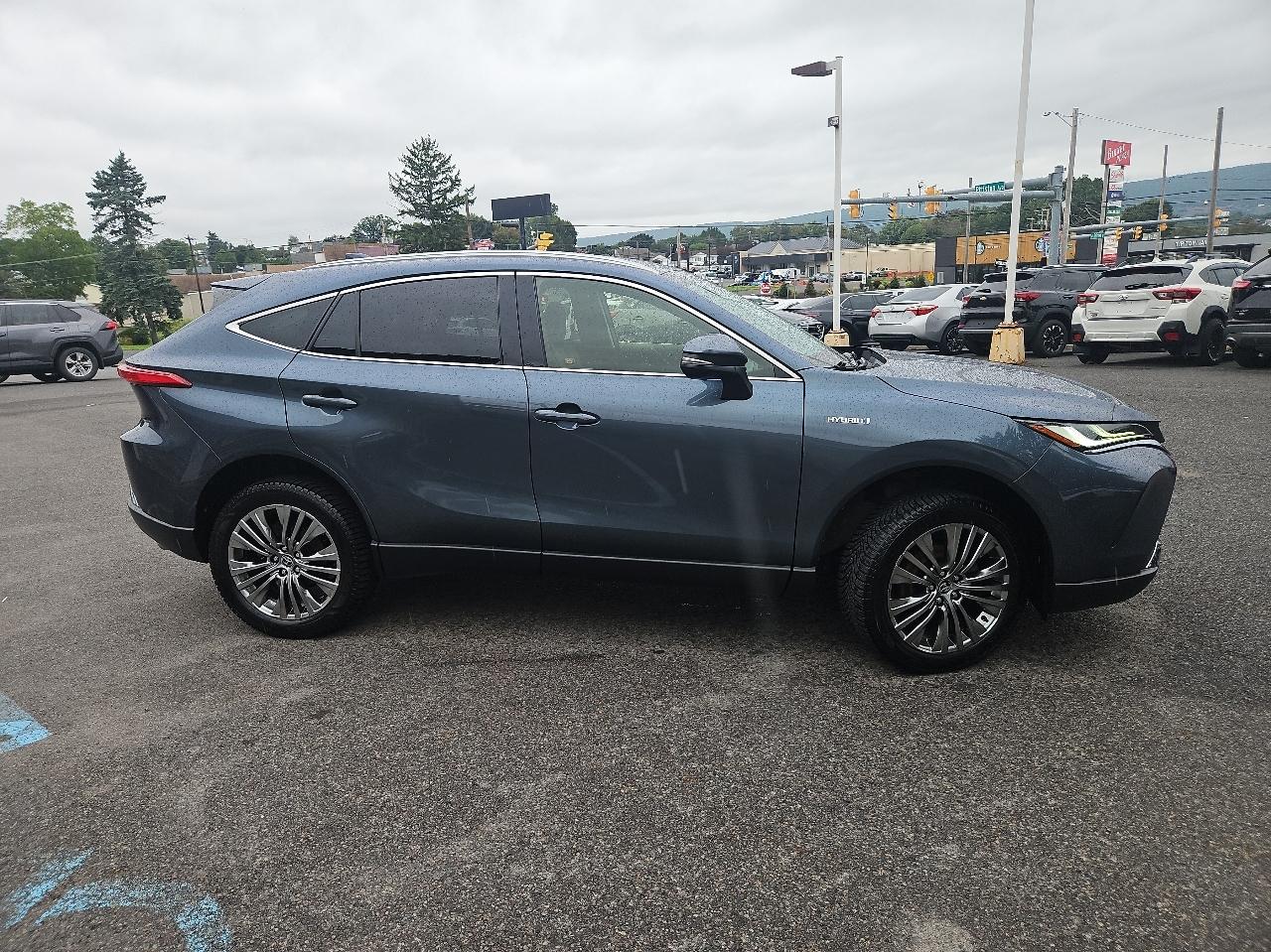Toyota Venza Limited AWD (Natl) 2021
