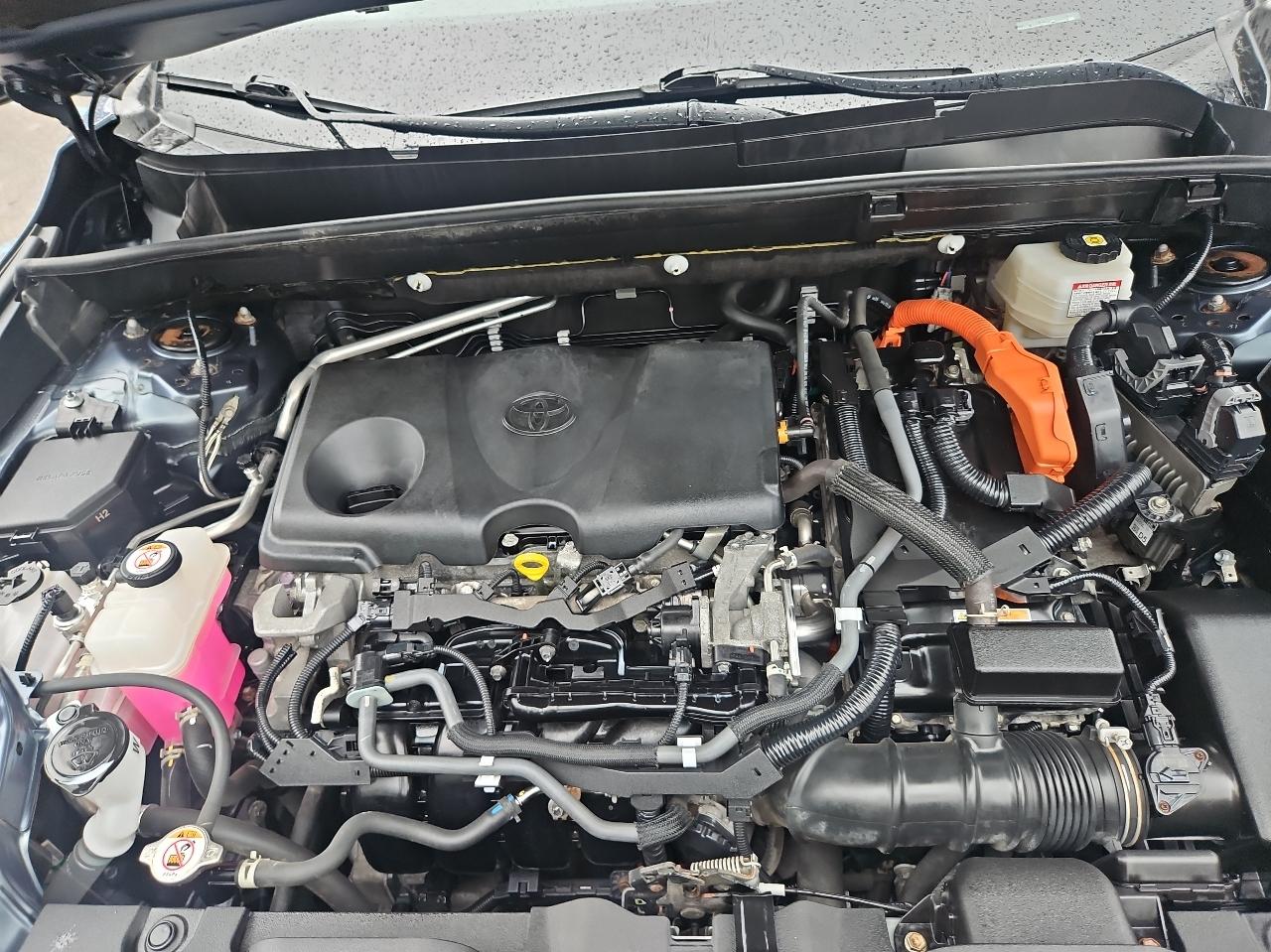 Toyota Venza Limited AWD (Natl) 2021