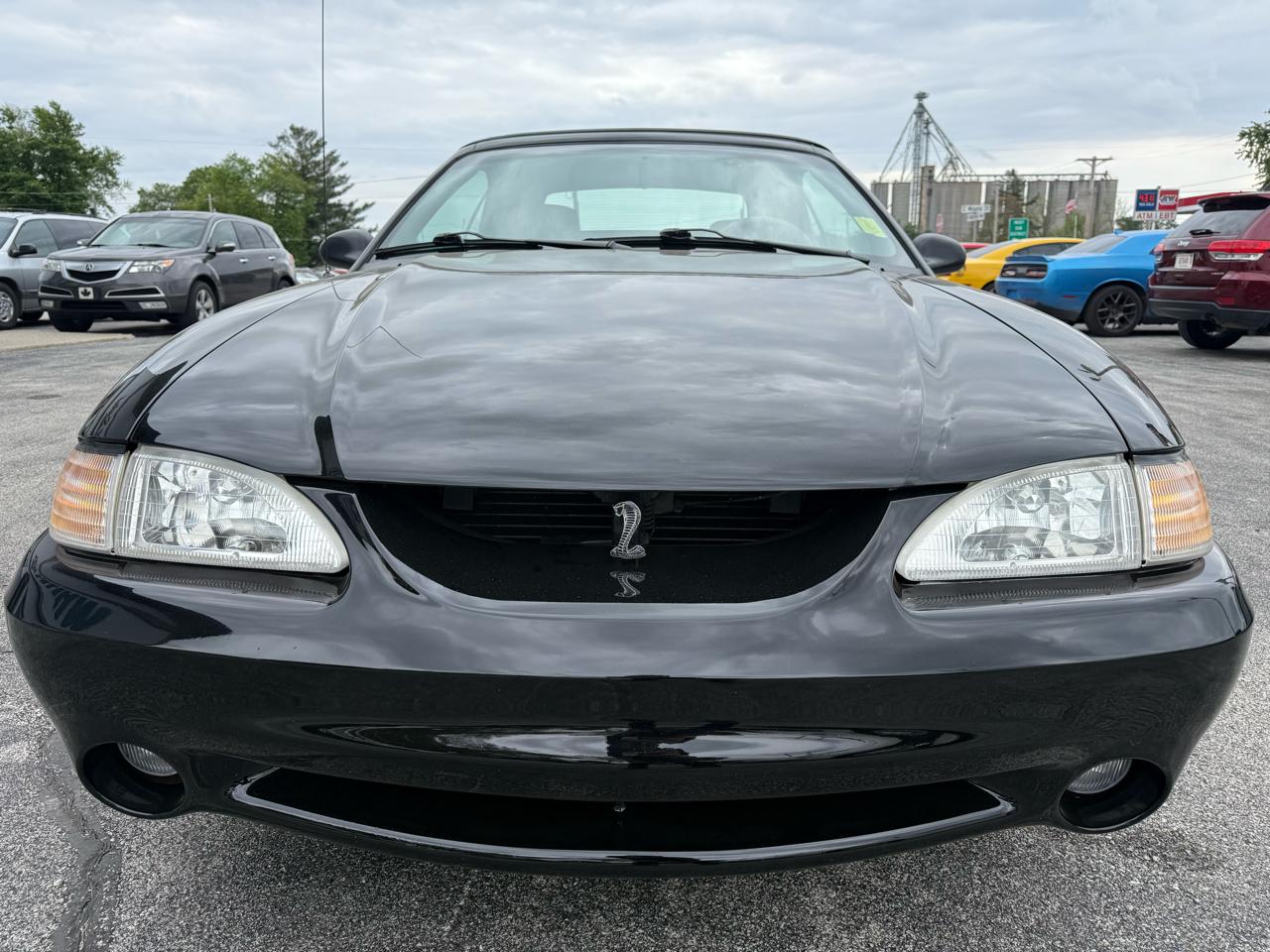 Ford Mustang Cobra Convertible 1995