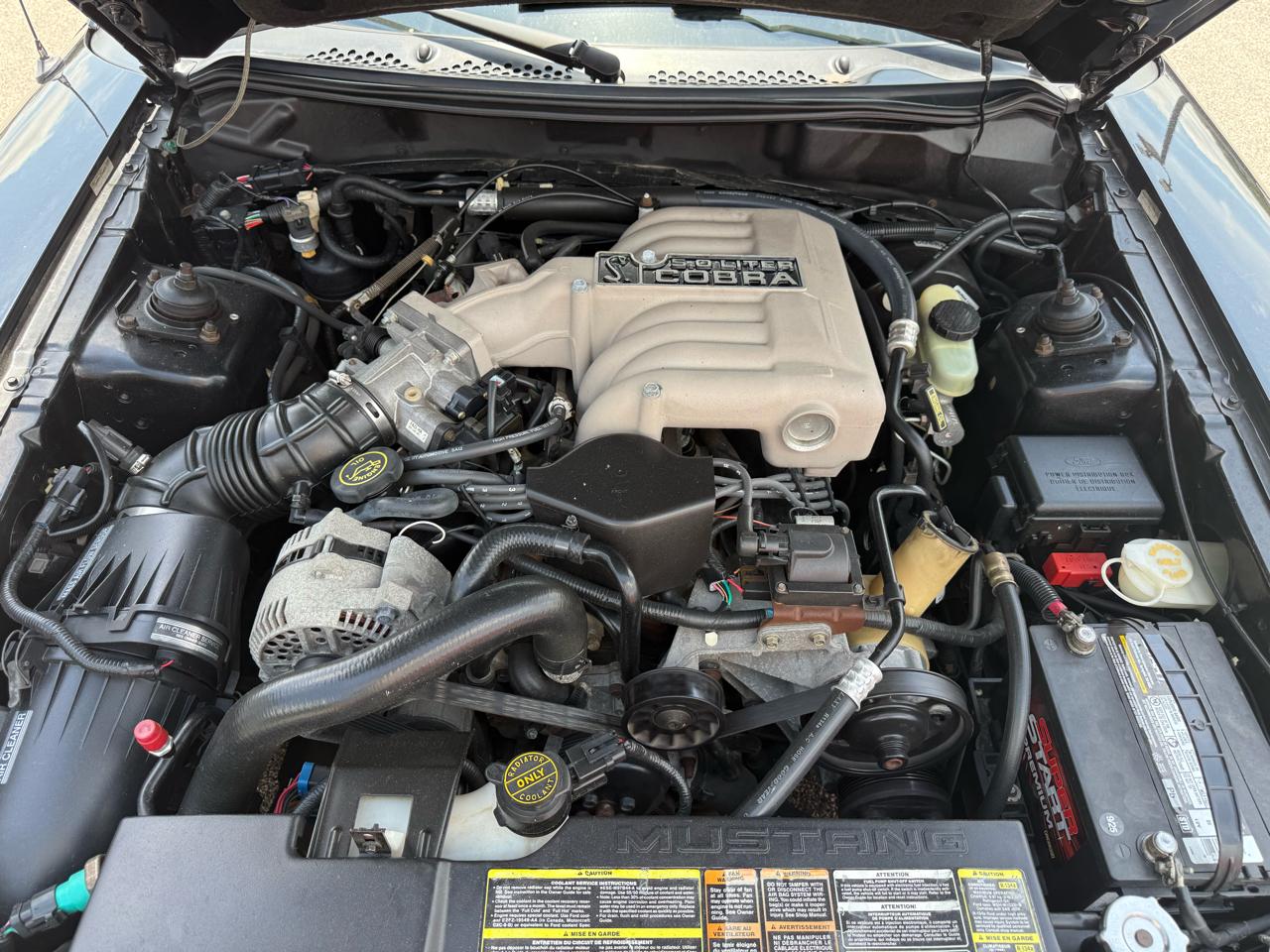 Ford Mustang Cobra Convertible 1995