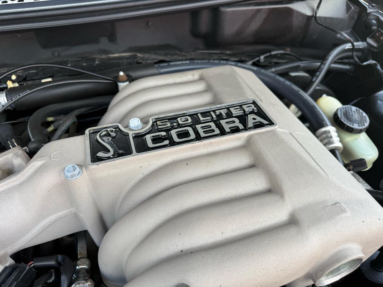 Ford Mustang Cobra Convertible 1995