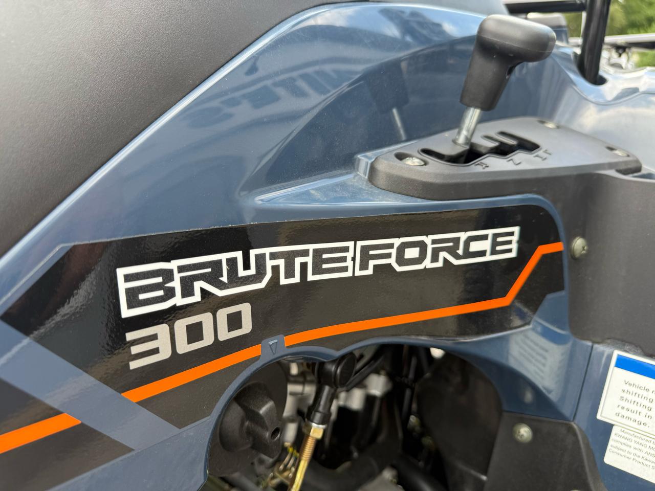 Kawasaki KVF300  2025