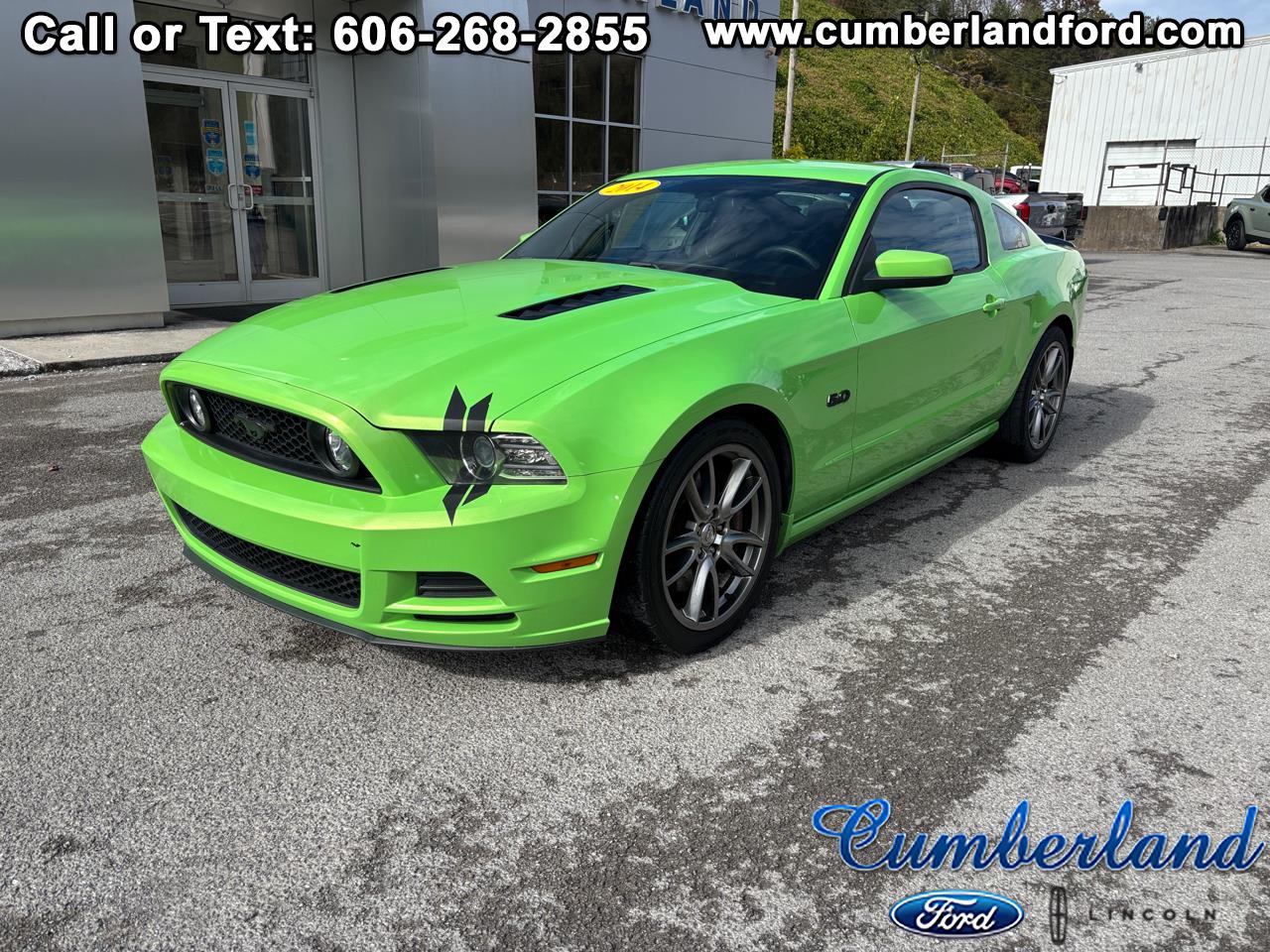 2014 Ford Mustang GT's photo