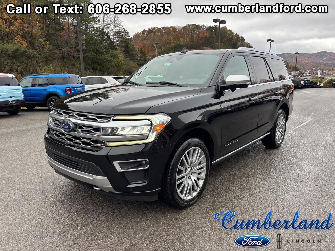 2022 Ford Expedition Platinum 4WD