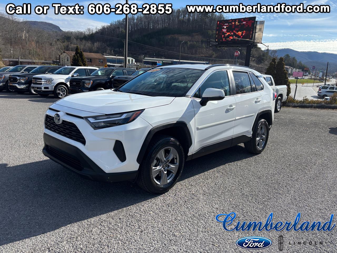 2024 Toyota RAV4 LE's photo
