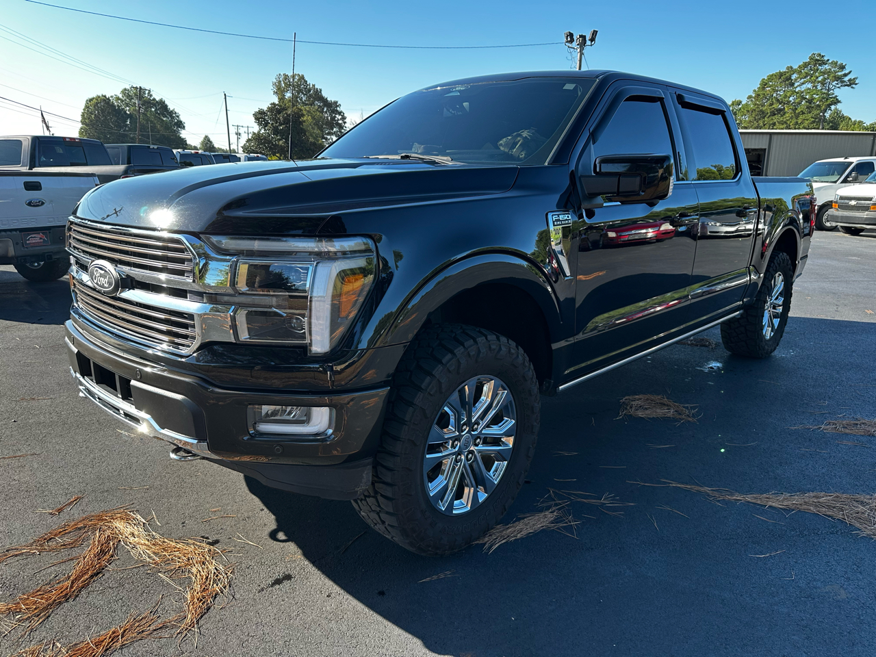 2024 Ford F-150 King Ranch photo 3