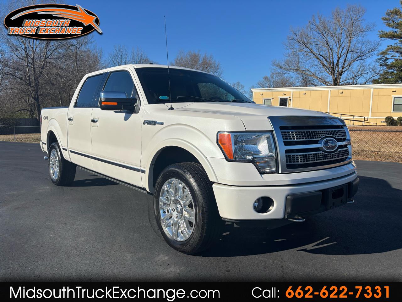 Ford F-150 4WD SuperCrew 145" Platinum 2010