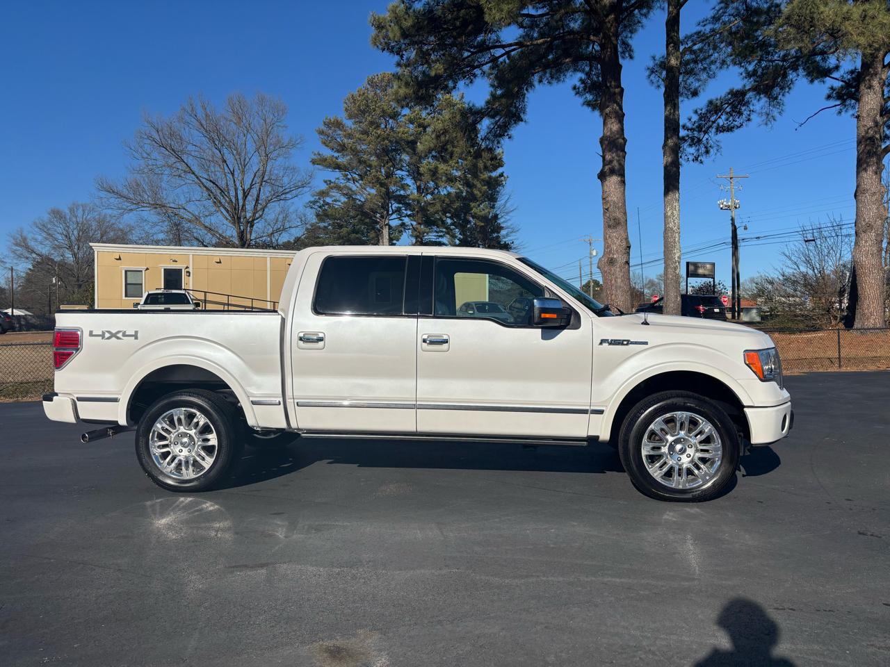 Ford F-150 4WD SuperCrew 145" Platinum 2010