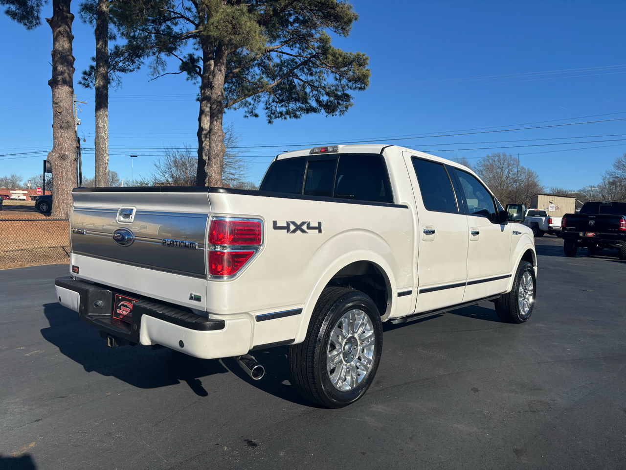 Ford F-150 4WD SuperCrew 145" Platinum 2010