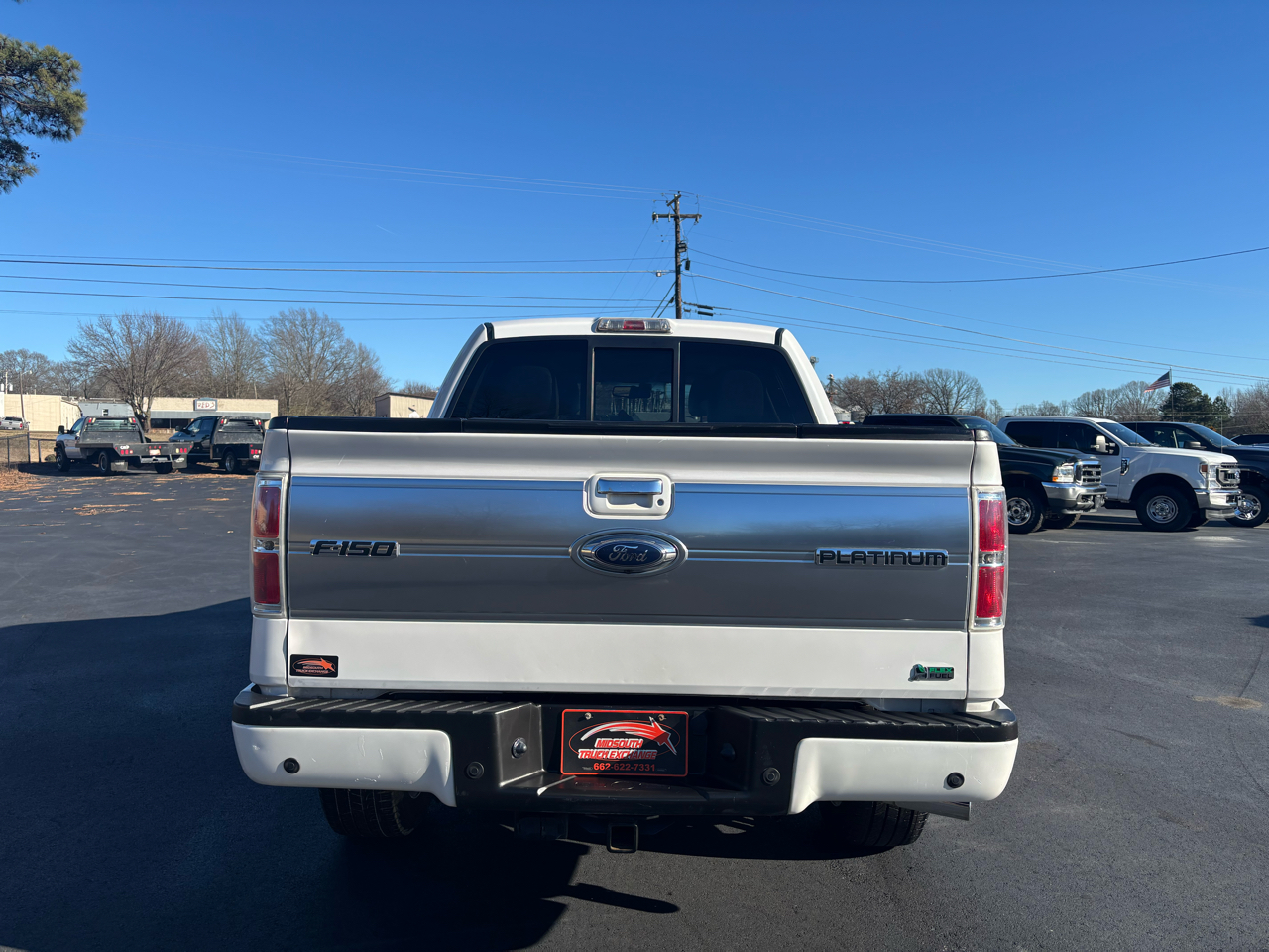 Ford F-150 4WD SuperCrew 145" Platinum 2010