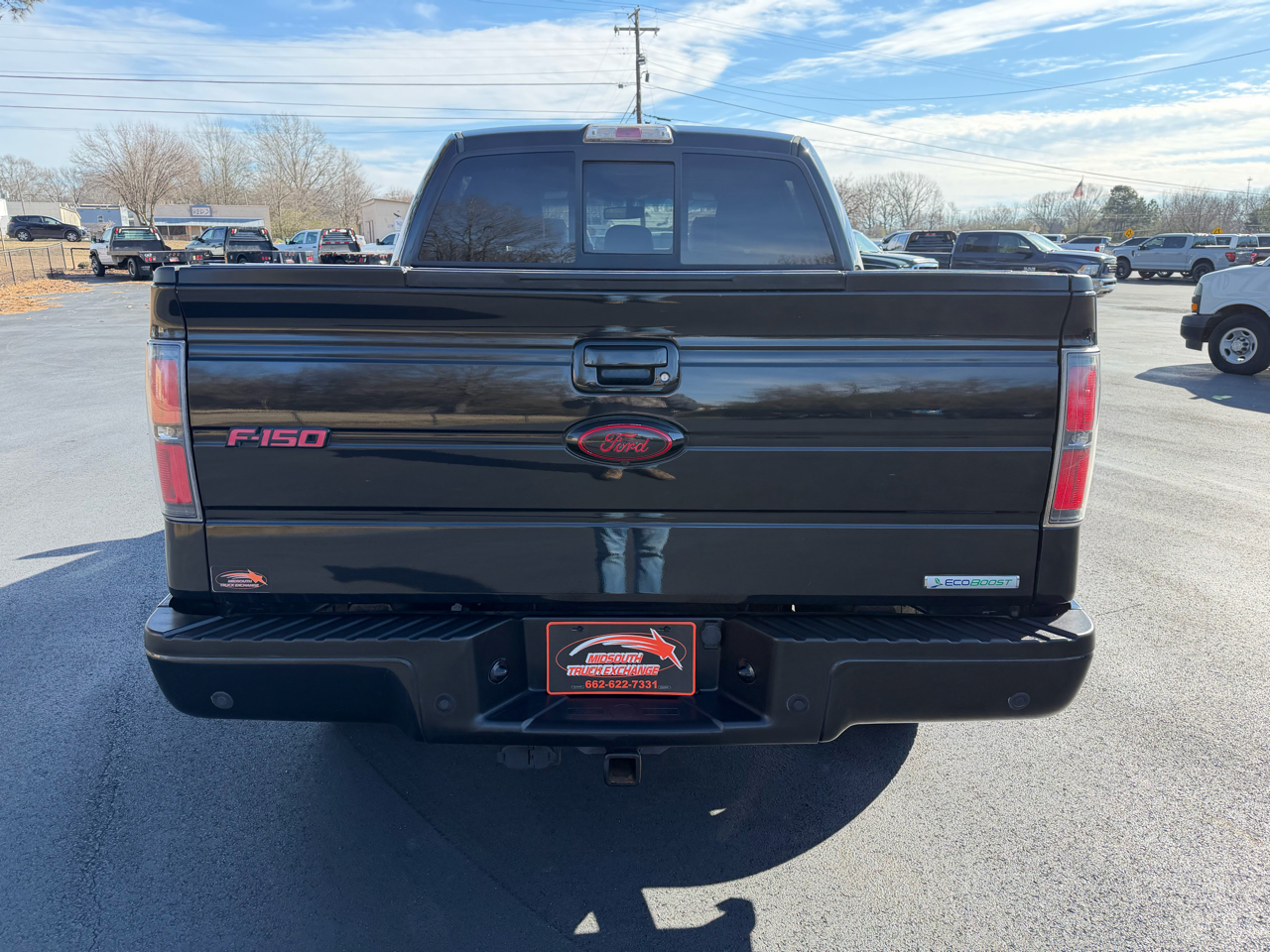 Ford F-150 4WD SuperCrew 145" FX4 2013