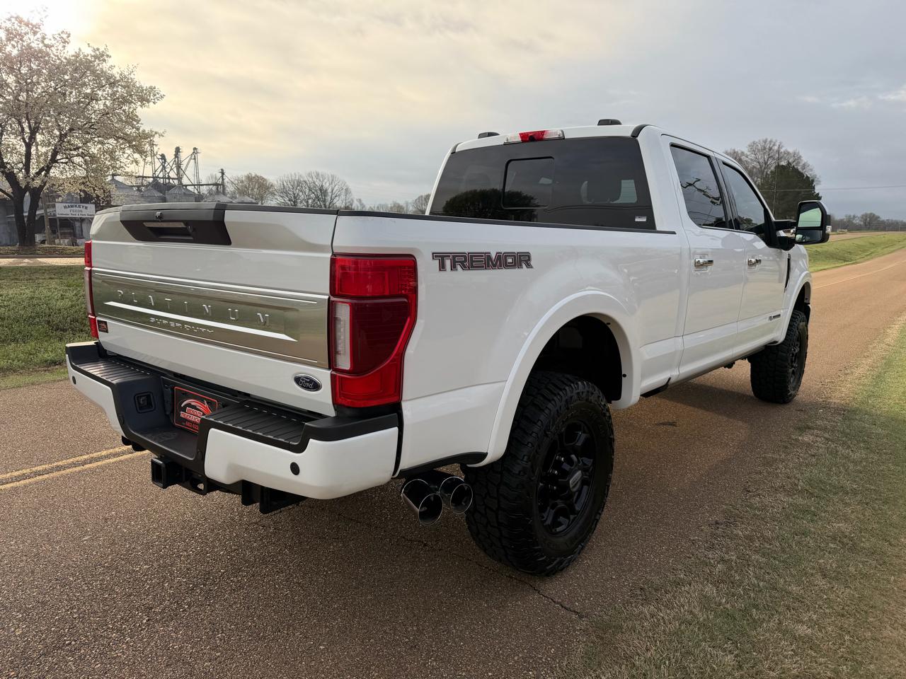 Ford Super Duty F-250 SRW Platinum 4WD Crew Cab 6.75' Box 2021