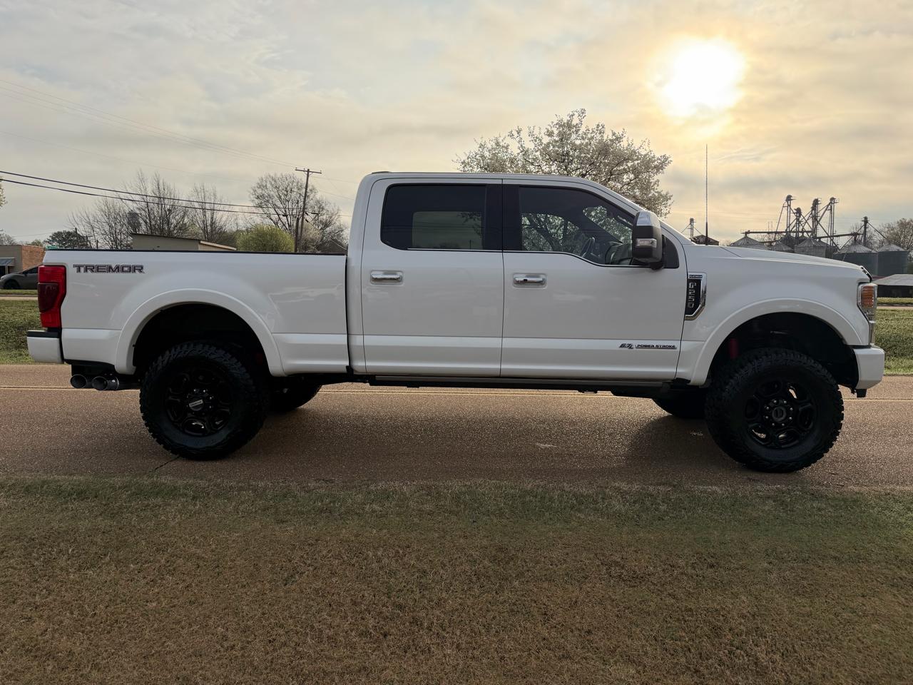 Ford Super Duty F-250 SRW Platinum 4WD Crew Cab 6.75' Box 2021