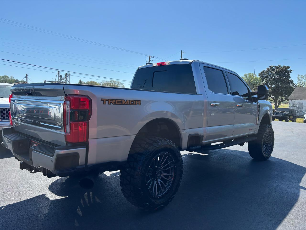 Ford Super Duty F-250 SRW Platinum 4WD Crew Cab 6.75' Box 2024