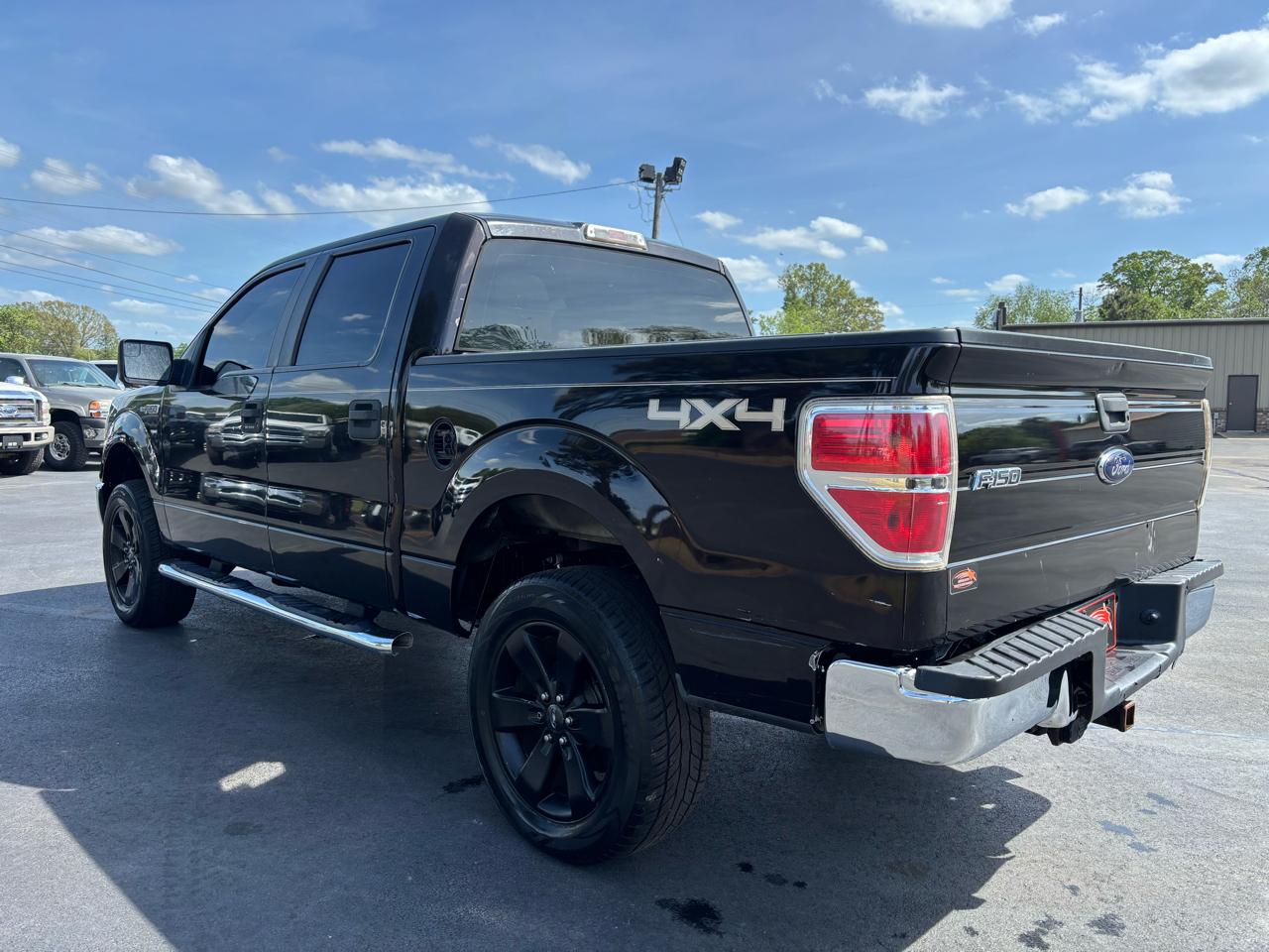 Ford F-150 4WD SuperCrew 145" XLT 2013