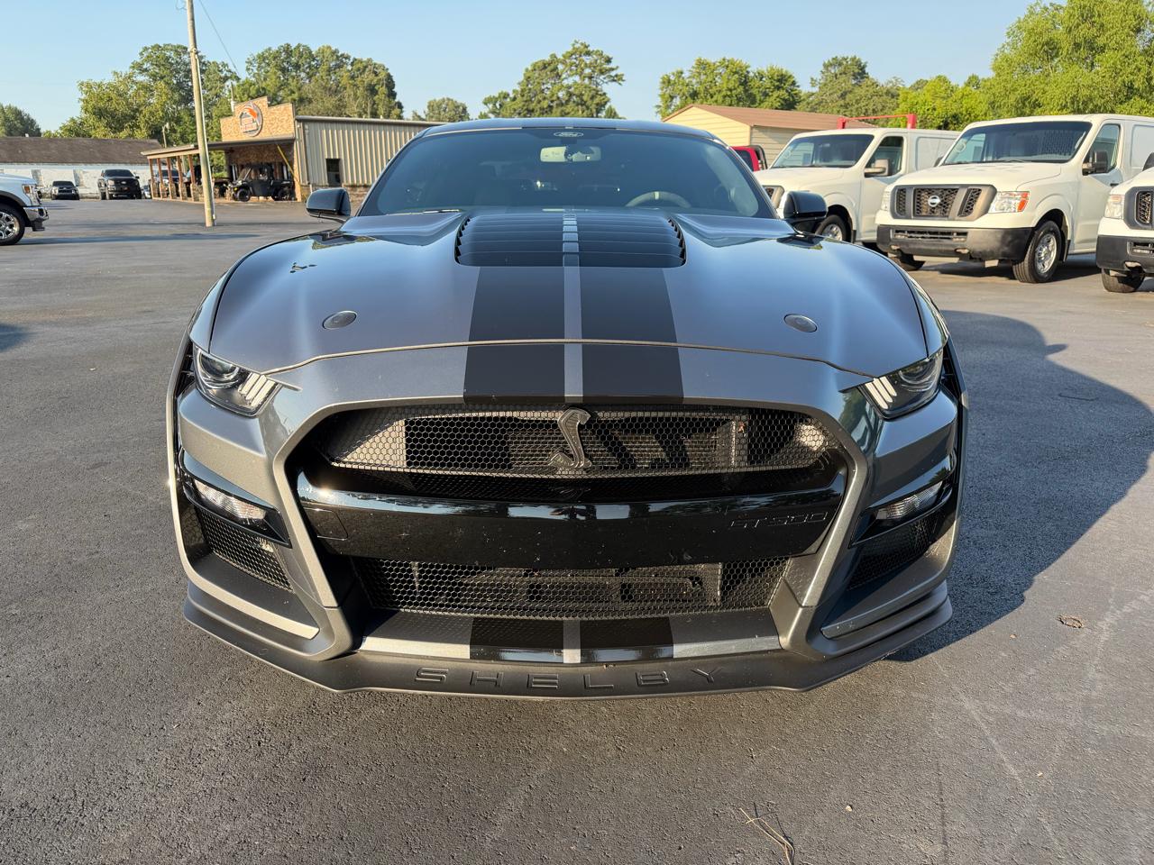 Ford Mustang Shelby GT500 Fastback 2021