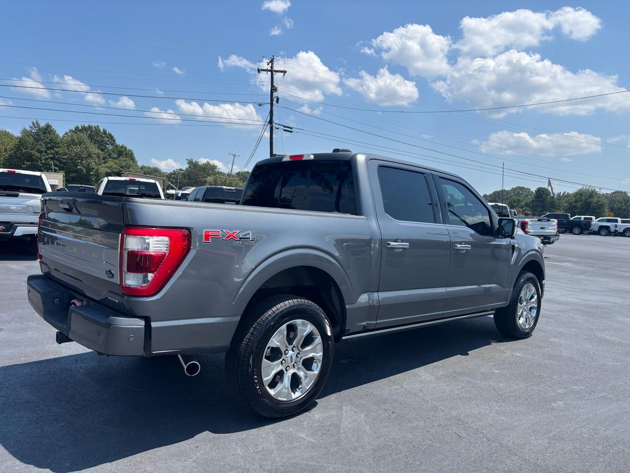 Ford F-150 Platinum 4WD SuperCrew 5.5' Box 2023
