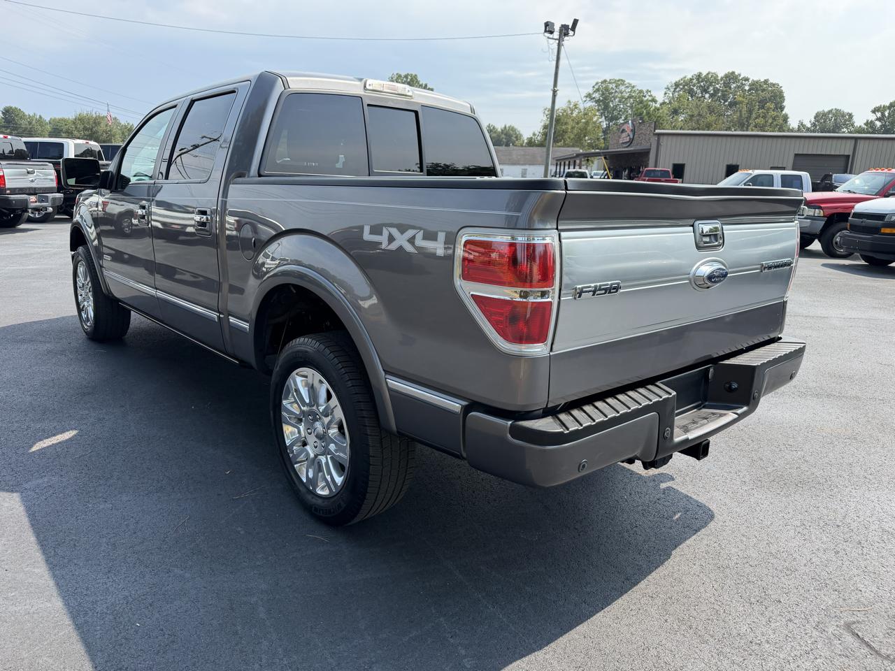Ford F-150 4WD SuperCrew 145" Platinum 2013