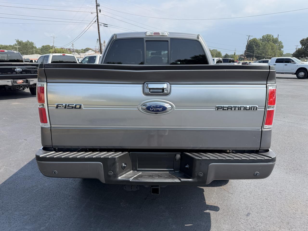 Ford F-150 4WD SuperCrew 145" Platinum 2013