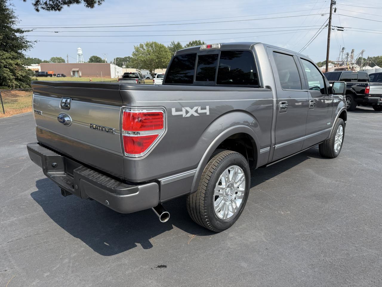 Ford F-150 4WD SuperCrew 145" Platinum 2013