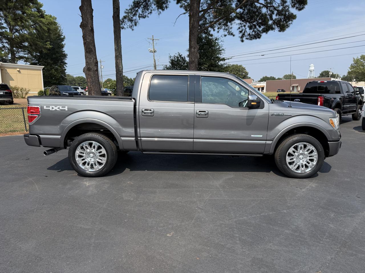 Ford F-150 4WD SuperCrew 145" Platinum 2013