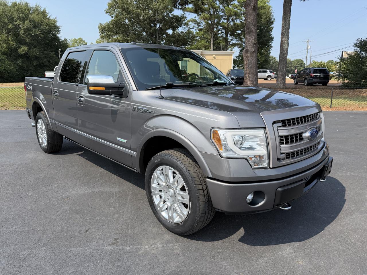 Ford F-150 4WD SuperCrew 145" Platinum 2013