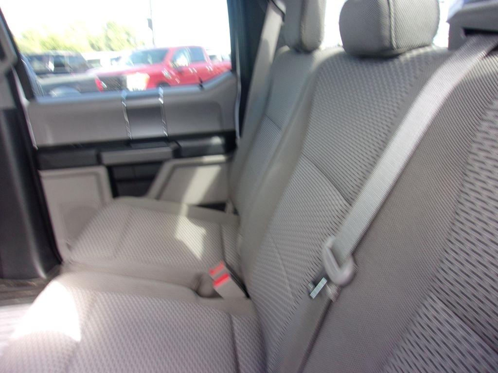 Ford F-150 XL SuperCrew 6.5-ft. Bed 4WD 2020