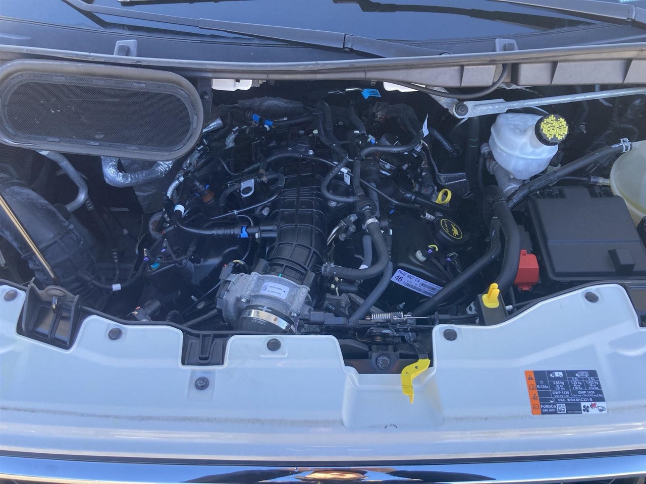 Ford Transit Passenger Wagon T-350 148" Low Roof XLT RWD 2023